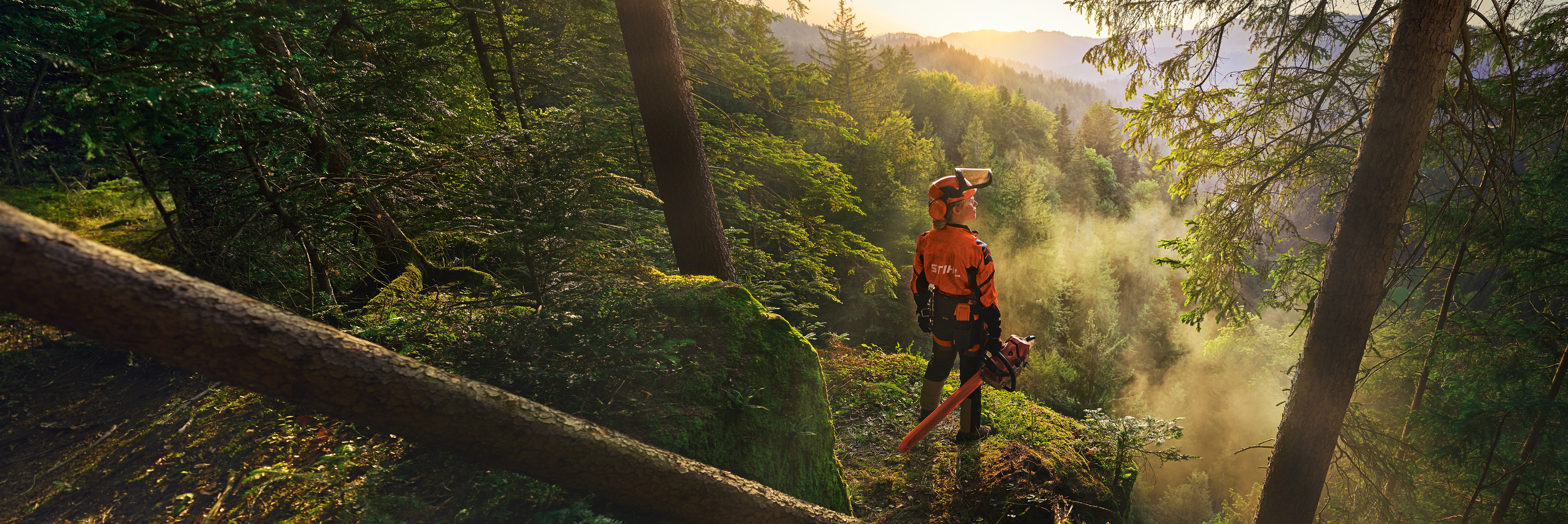 O femeie stă la marginea unei râpe într-o pădure verde intens.  Poartă îmbrăcăminte de lucru STIHL portocalie, căști ADVANCE ProCom și ține în mână un motoferăstrău STIHL MS.