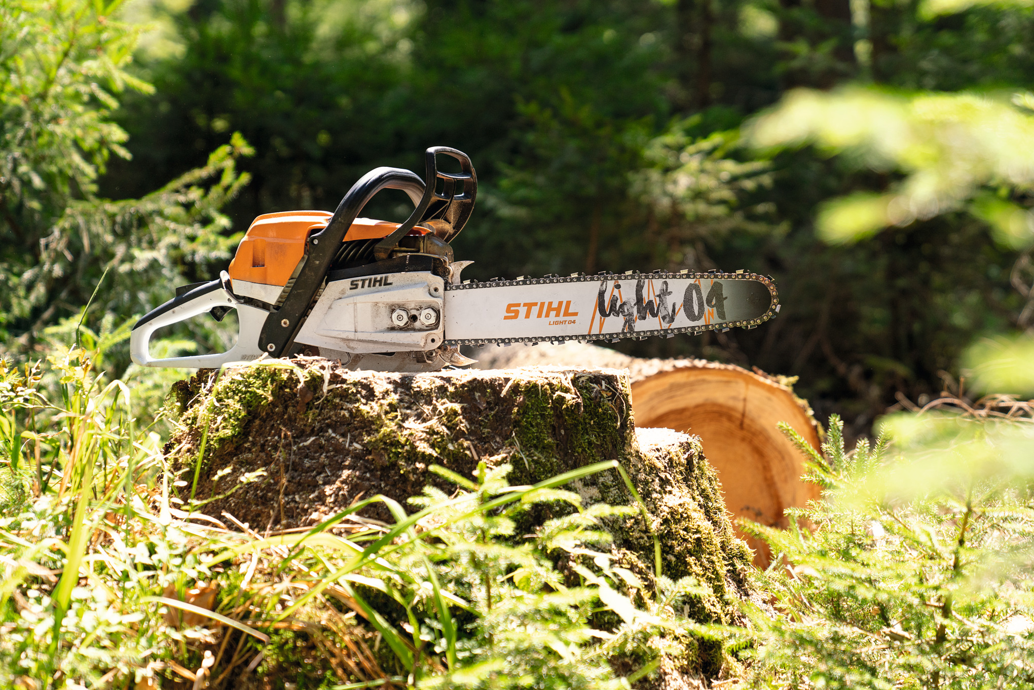 Motoferăstrăul pe benzină STIHL MS 261 C-M pe o buturugă în pădure
