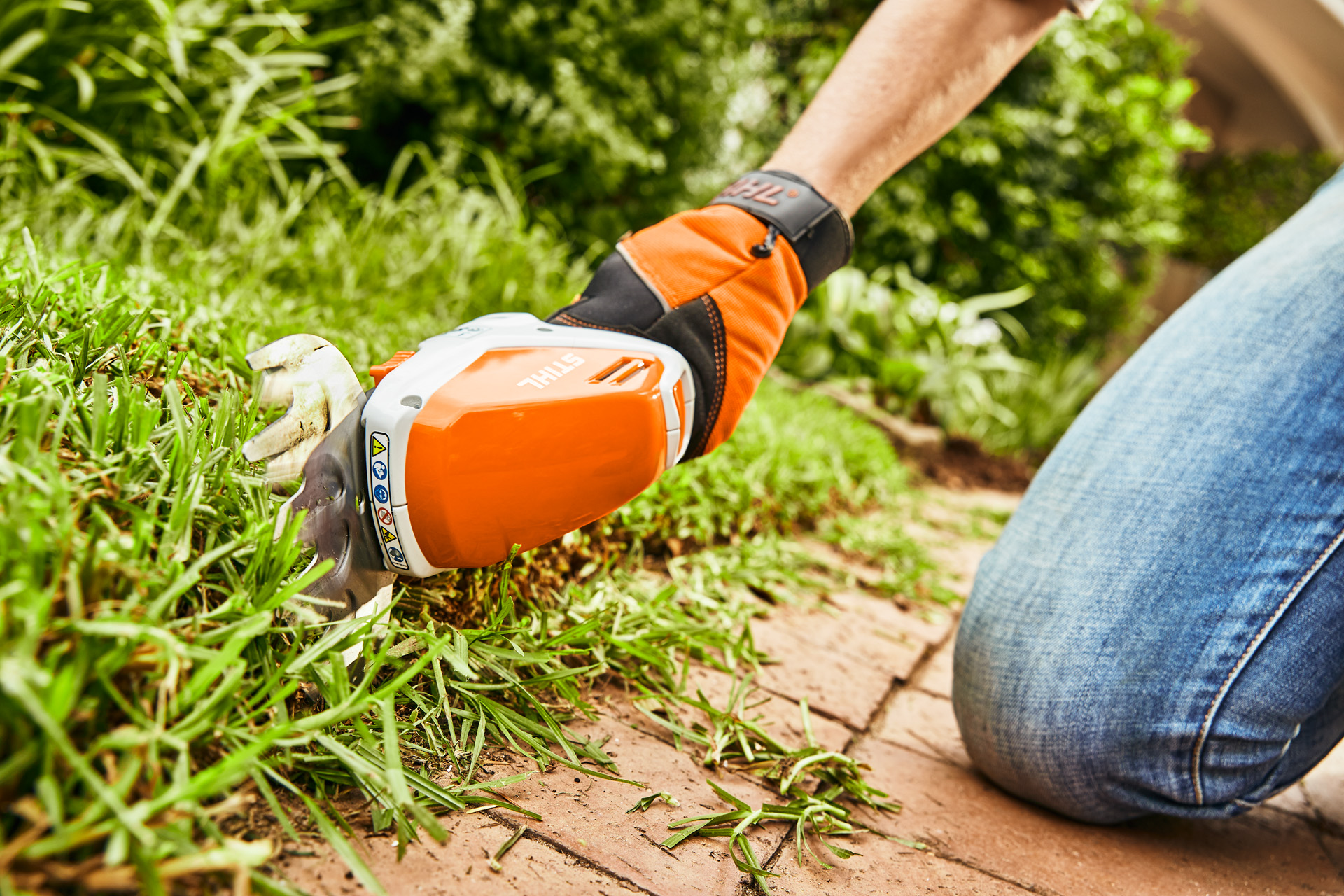 Tăierea marginilor gazonului cu foarfeca de tuns arbuști cu acumulator STIHL HSA 26