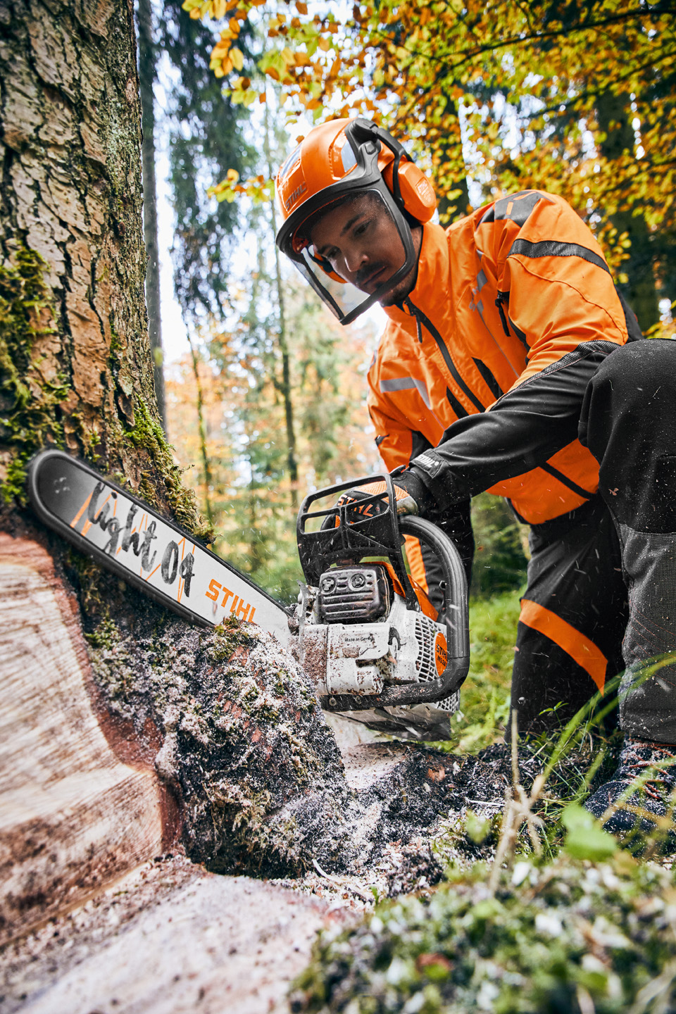 Un bărbat cu motofierăstrăul pe benzină STIHL MS 261 C-M cu șină Light 04 taie un copac