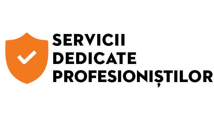 servicii profesionisti