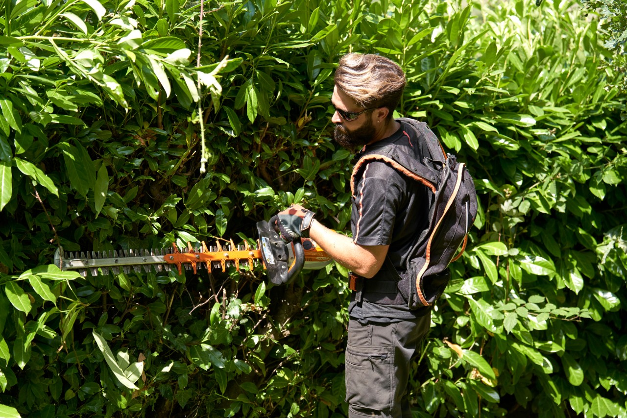 Un profesionist îmbrăcat în echipament de protecție tunde un gard viu cu un foarfece de tuns garduri vii cu acumulator STIHL