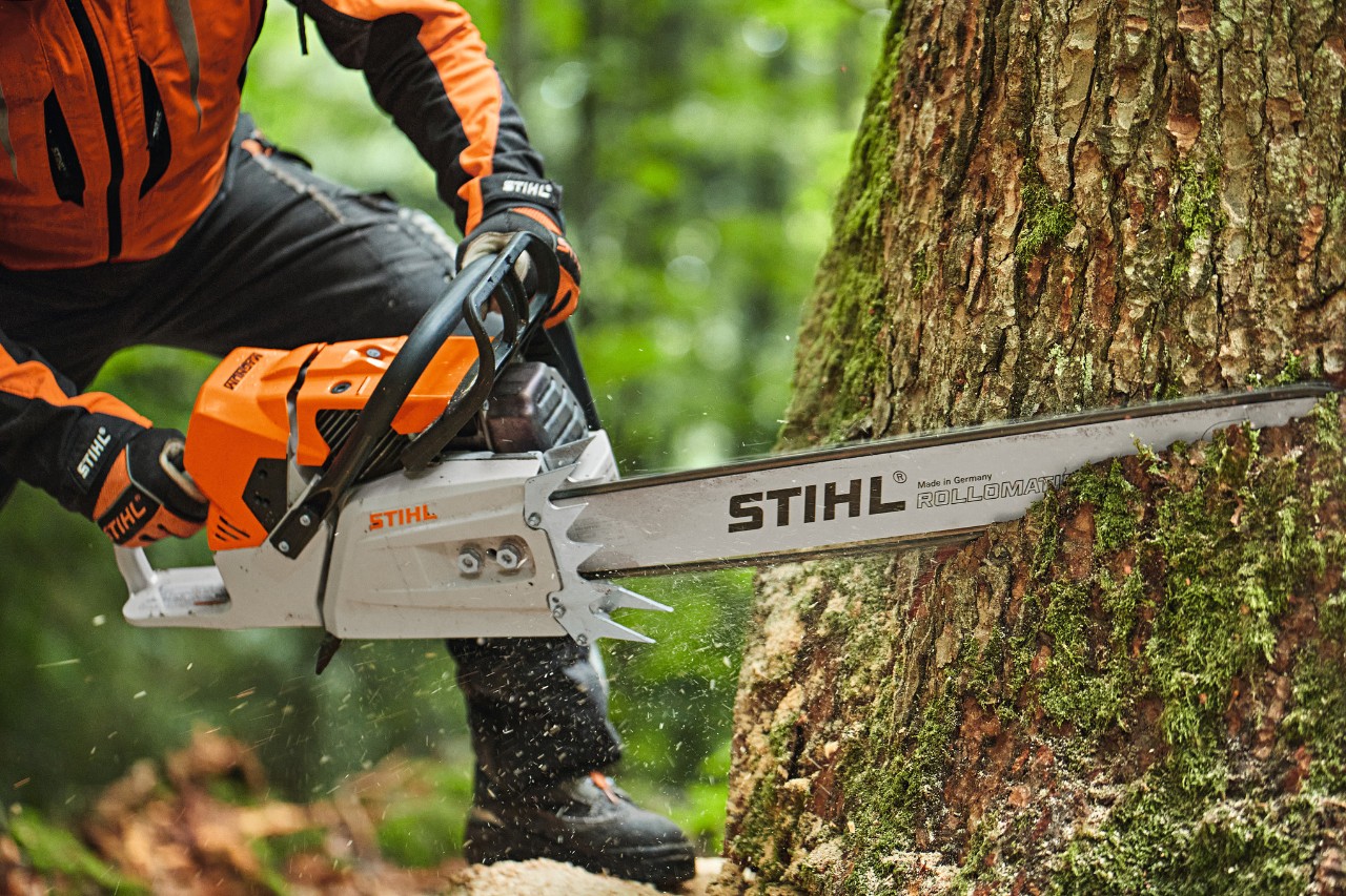 O persoană taie un copac cu un motoferăstrău pe benzină STIHL MS 881 cu șină cu capăt