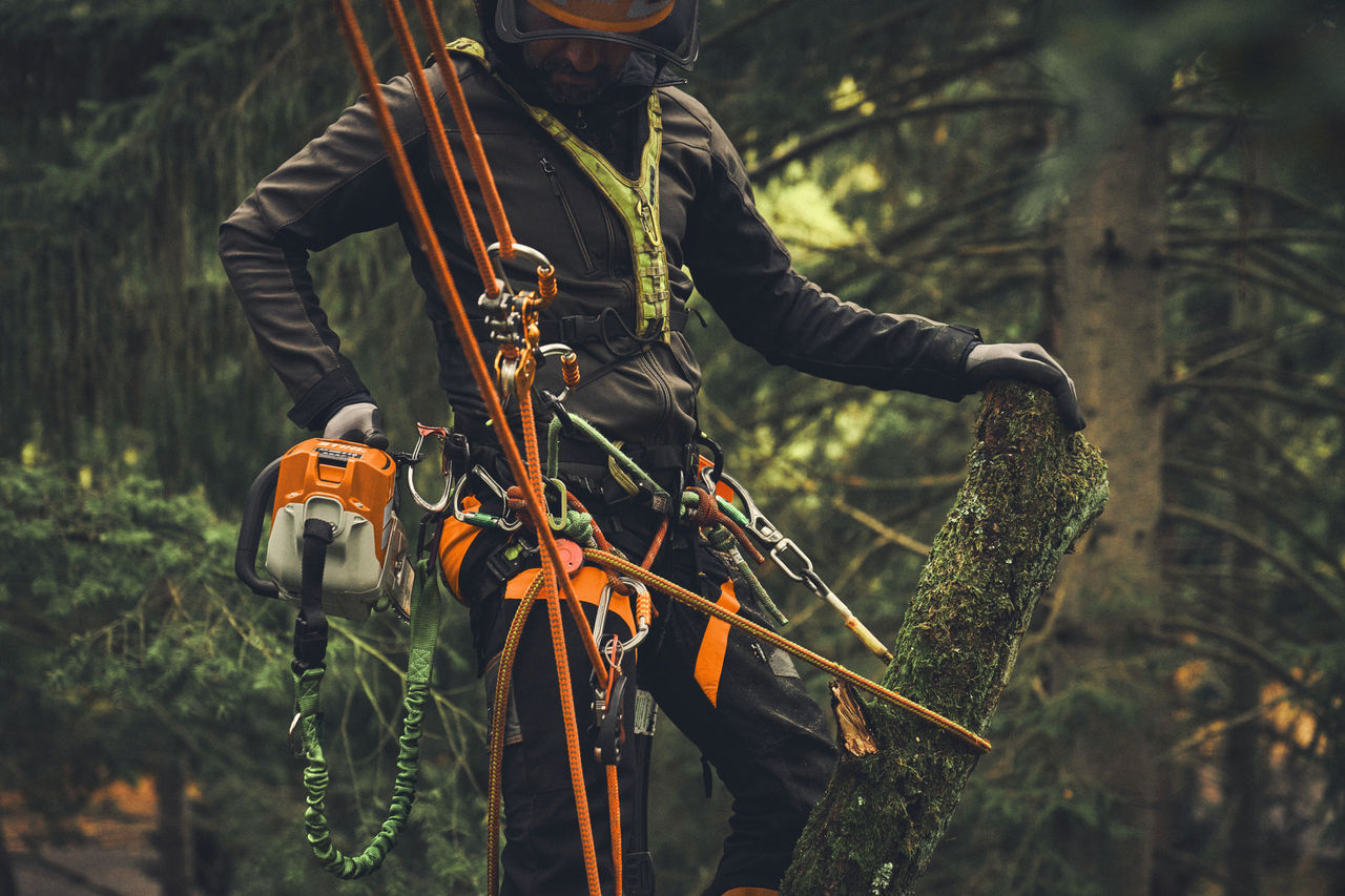 Un bărbat stă pe o platformă de ridicare și taie ramuri cu motoferăstrăul cu acumulator STIHL MSA 190 T