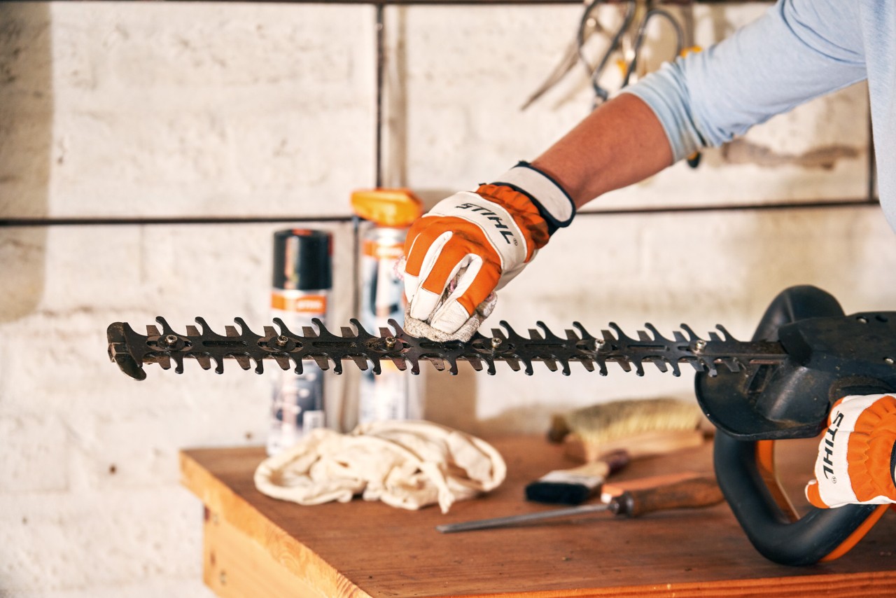 Cuțitul unei foarfeci de tuns garduri vii cu acumulator STIHL HSA 56 este curățat